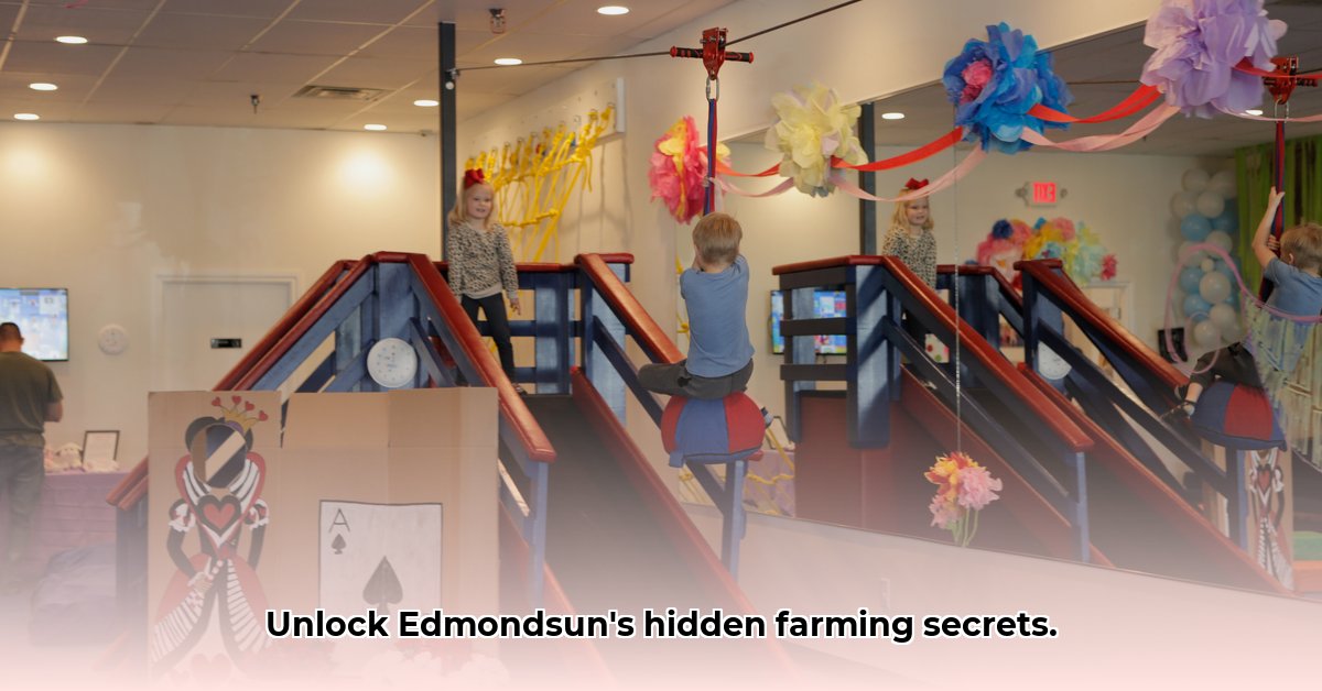 edmondsun